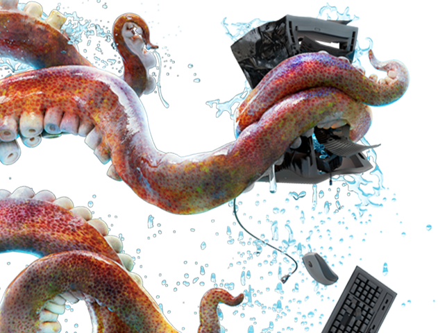 Kraken Image